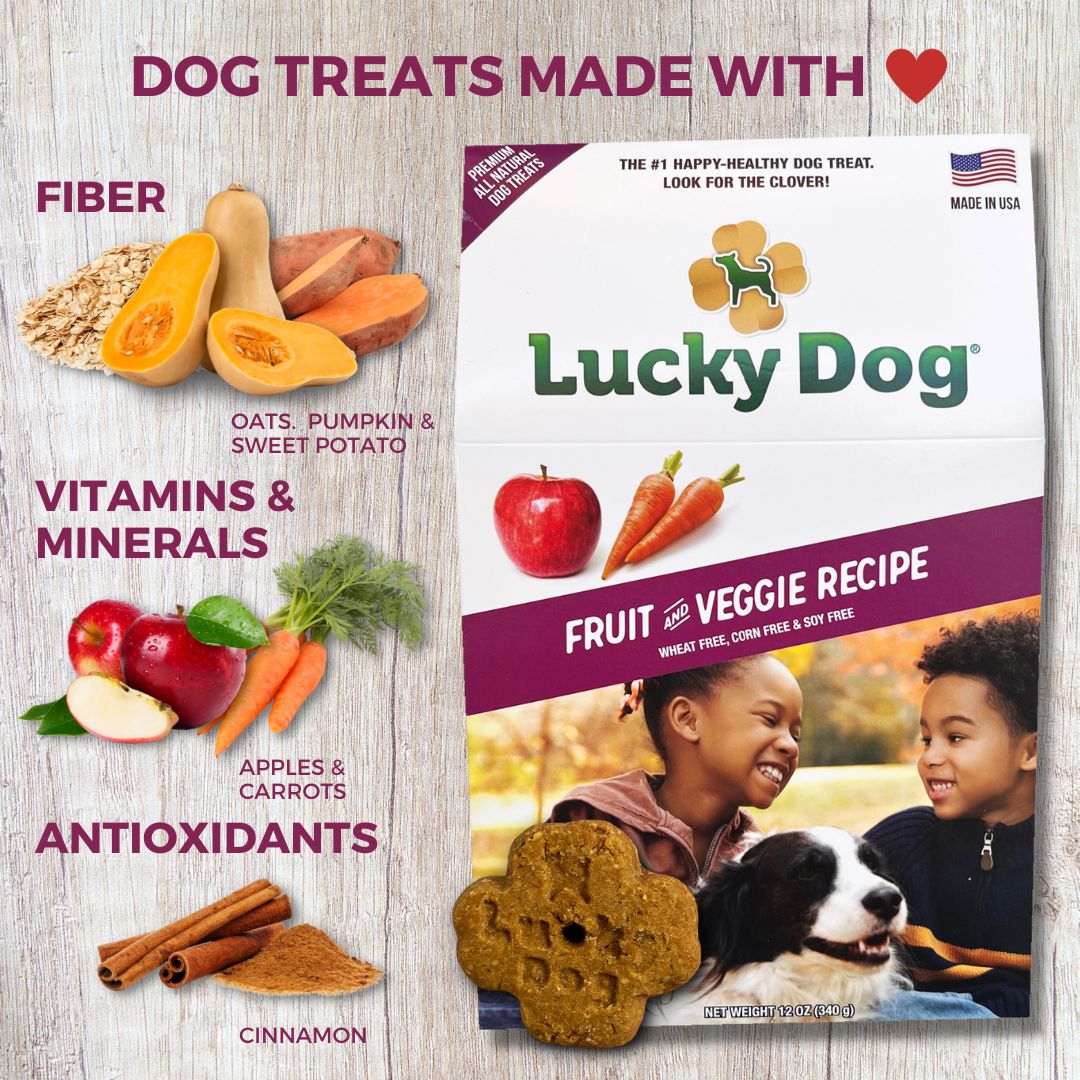 Vegan treats outlet for dogs